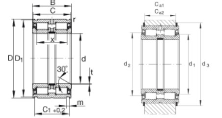 SL045010-PP Duobla vico plena komplemento cilindraj rullagroj