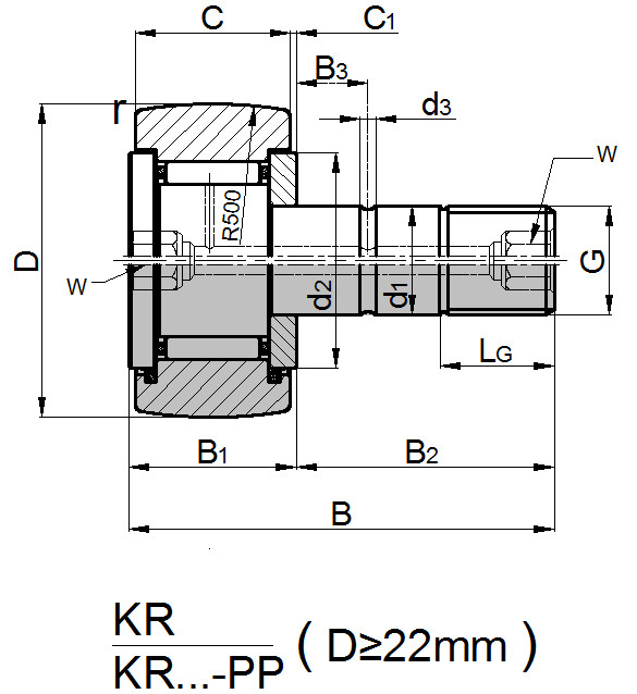 KR22-PP mbajtëse rul me gjilpërë